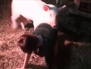 Enjoy this pretty nasty bestiality action