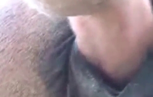 Incredible bestiality with lots of passion and love