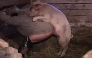 Farmer with a big butt gets banged by a horny pig