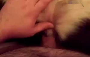 Dude is filming himself fucking his cute little puppy