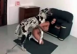 Amazing doggo is totally banging this horny woman