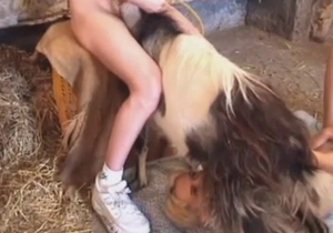 All kinds of amazing fuck action in this zoo porn clip