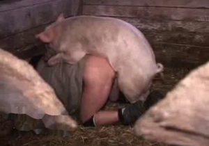 Pink piggy is destroying the crack of this slutty woman