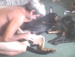 Older zoophile giving a sloppy BJ to a lovely doggie