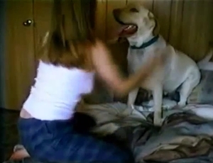 Labrador takes a part in the bestiality session