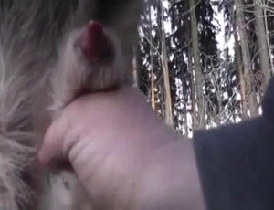 Sexy bitch is enjoying pointy dick of her animal