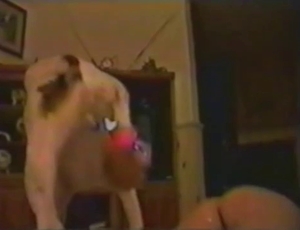 Slutty doggy is enjoying insane bestiality XXX