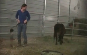 Zoophile is screwing a hot pony from behind