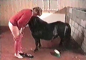 Hot whore is giving a striptease performance to a pony