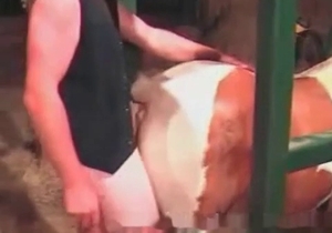 Sexy farmer and his animal have awesome amateur bestiality