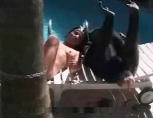 Lovely bitch lays naked right next to her cute monkey