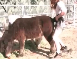 Sexy chick is enjoying her horny as hell mare