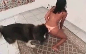 Filthy amateur bestiality sex action (Gallery URL already exists in DB)