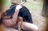 Sucking animal sex